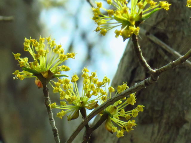 Re: こんにちは～